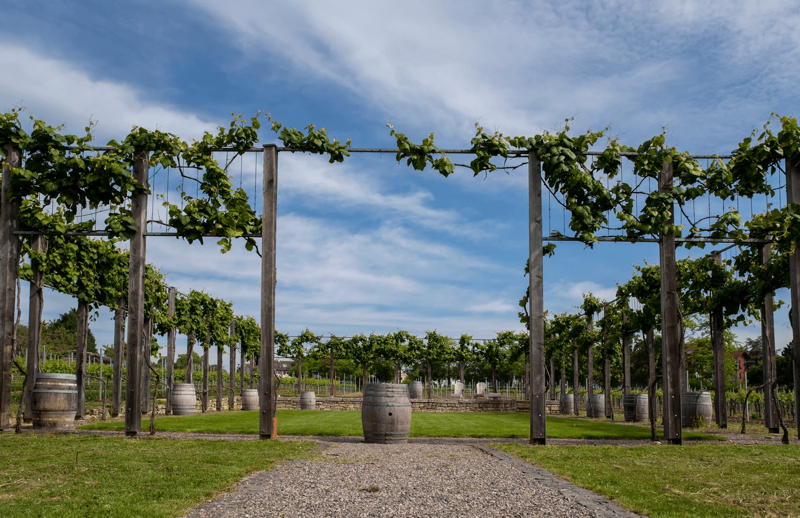 RebArena im Weingut Fitz-Ritter
