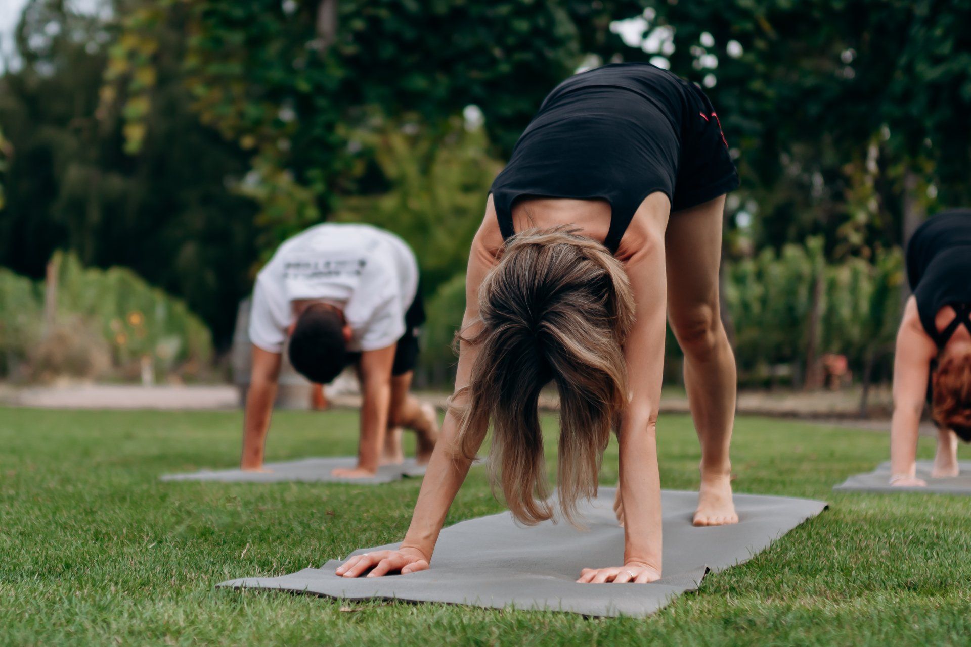 Yoga zwischen den Reben