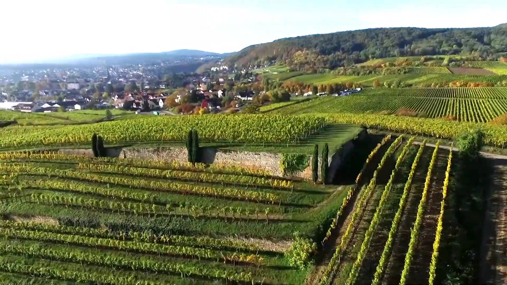 Herrenberg: Yoga nahe dem Weingut Fitz-Ritter in Bad Dürkheim