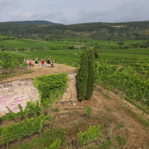 WineYoga Herrenberg<br>Fr. 14.08.2026<br>Beginn 18:30 Uhr