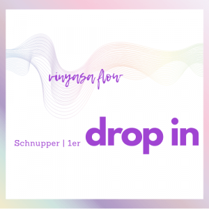 Yoga Kurse <br> Dropin <br> Schnupper / 1er