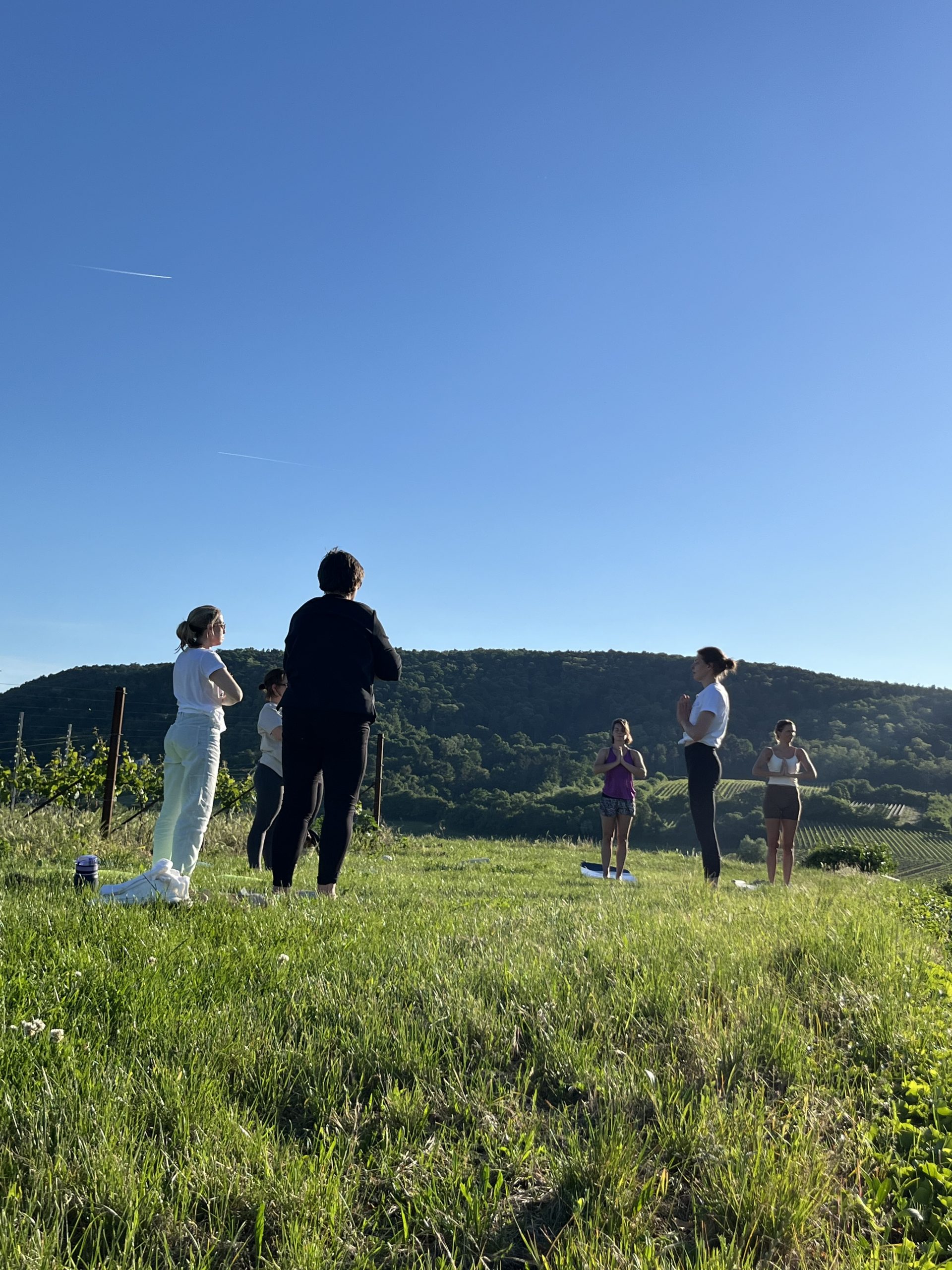 WineYoga Herrenberg <br>Fr. 28.08.2026 <br>Beginn 18:30 Uhr