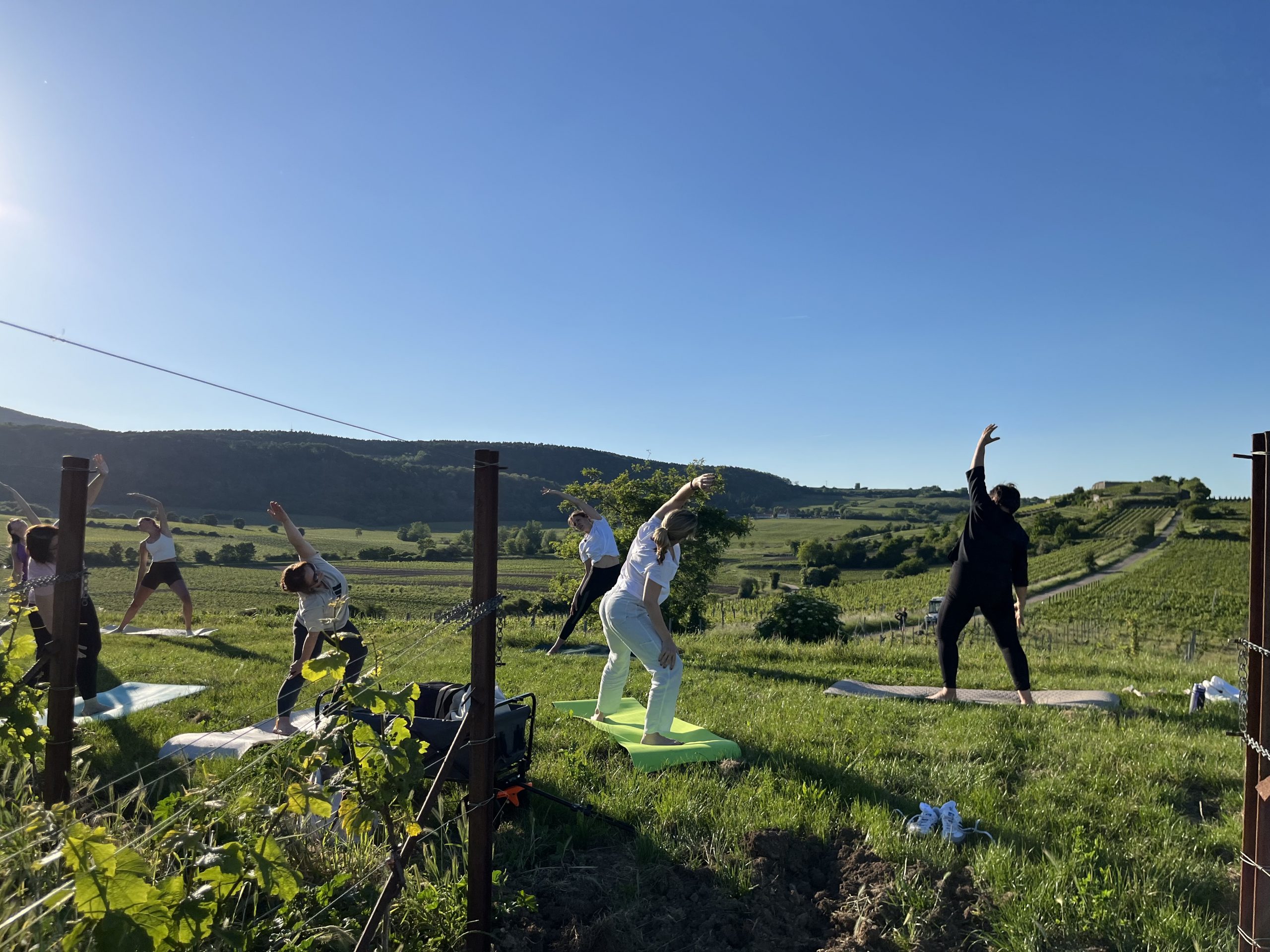 WineYoga Herrenberg <br>Fr. 28.08.2026 <br>Beginn 18:30 Uhr – Bild 2