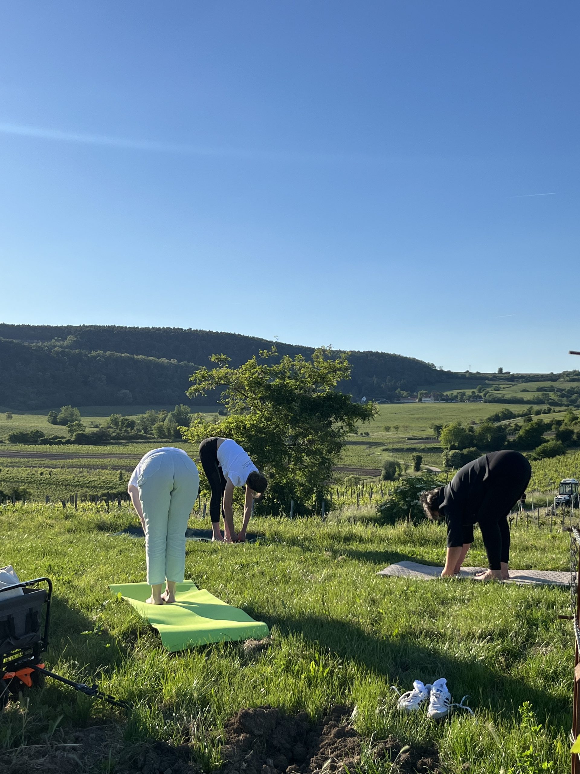 WineYoga Herrenberg <br>Fr. 28.08.2026 <br>Beginn 18:30 Uhr – Bild 4